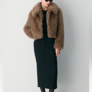 Aritzia Chamonix Coat - Duo toned Saville